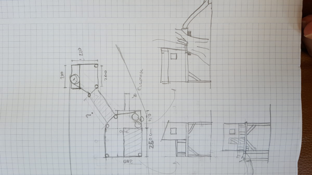 A oliveira selecionada